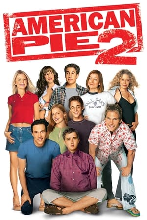 American Pie 2 (2001) Dual Audio | Hindi Full Movie BluRay [990MB]