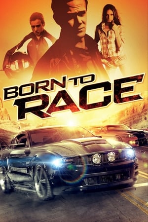 Born to Race 2011 Dual Audio | Hindi Full Movie BluRay 300MB