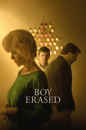 Boy Erased (2018) Dual Audio | Hindi Full Movie BluRay 380MB