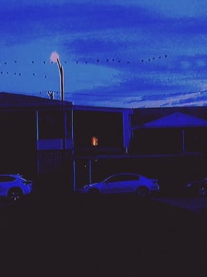 Break (2019) Dual Audio | Hindi Full Movie BluRay [900MB]