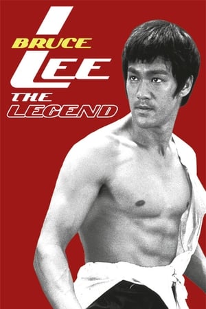 Bruce Lee the Legend 1984 Dual Audio | Hindi Full Movie HDTVRip 300MB