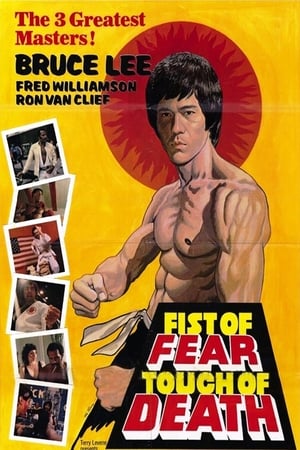 Fist of Fear Touch of Death 1980 Dual Audio | Hindi Full Movie DVDRip 300MB