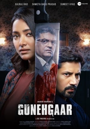 Gunehgaar (2023) HDRip | Hindi Full Movie | 480p