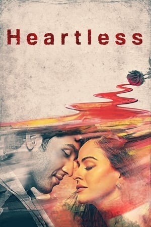 Heartless (2014) Movie | Hindi Full Movie HDRip - [380MB]