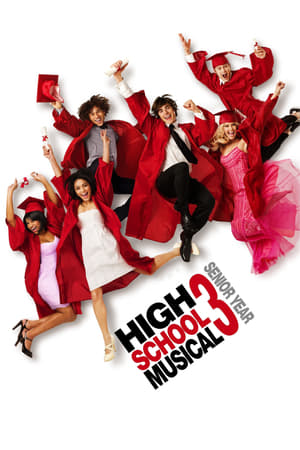 High School Musical 3 (2008) Dual Audio | Hindi Full Movie BluRay 350MB