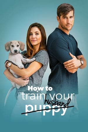 How to Train Your Husband 2018 Dual Audio | Hindi Full Movie BluRay [1GB]