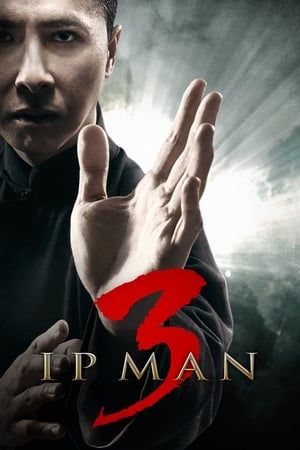 Ip Man 3 (2015) Dual Audio | Hindi Full Movie HDRip [900MB]