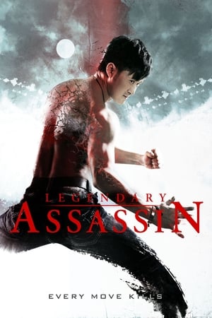 Legendary Assassin (2008) Dual Audio | Hindi Full Movie BluRay [1GB]