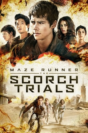 Maze Runner The Scorch Trials (2015) Dual Audio | Hindi Full Movie BluRay [1.3GB]