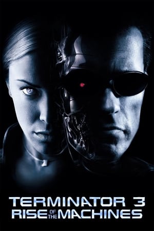 Terminator 3: Rise of the Machines (2003) Dual Audio | Hindi Full Movie BluRay [850MB]