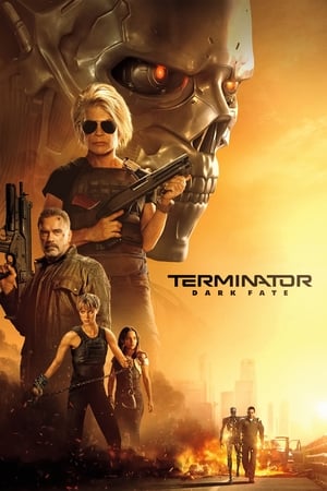 Terminator: Dark Fate (2019) (Org) Dual Audio | Hindi Full Movie BluRay 400MB