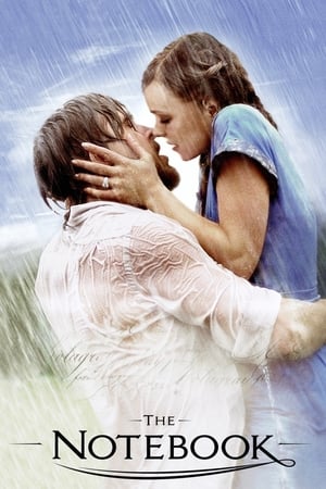 The Notebook 2004 Dual Audio | Hindi Full Movie BRRip 400MB