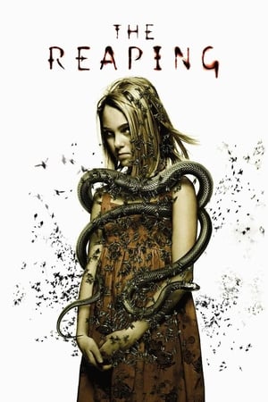 The Reaping (2007) Dual Audio | Hindi Full Movie BluRay 340MB