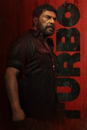 Turbo 2024 Dual Audio HDRip | Hindi Full Movie – 720p – 480p