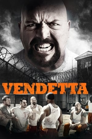 Vendetta 2015 Dual Audio | Hindi Full Movie BluRay [800MB] ESubs